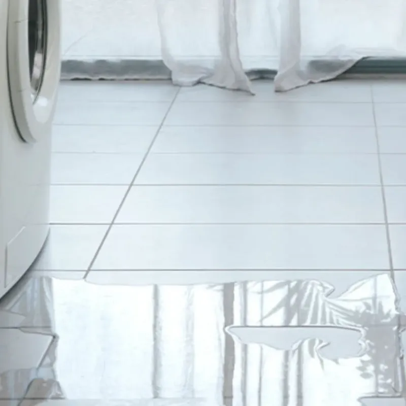 Appliance Leak Cleanup in Sandoval, IL