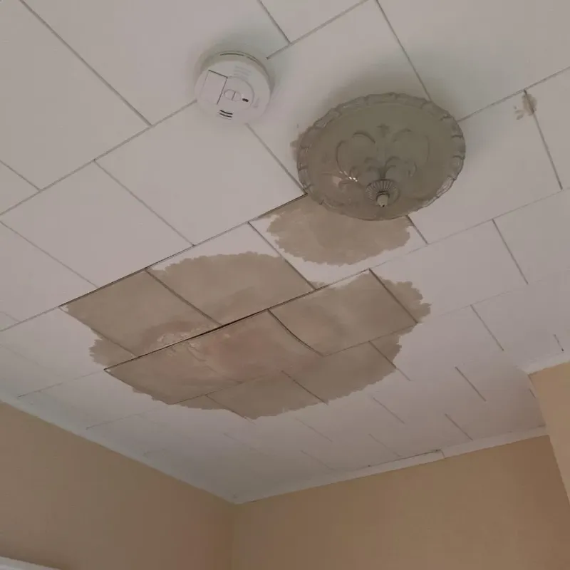 Ceiling Water Damage Repair in Sandoval, IL