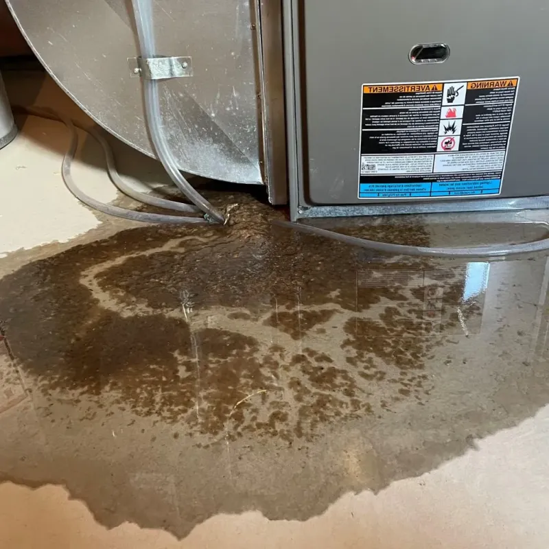 Pipe Burst and Leak Restoration in Sandoval, IL