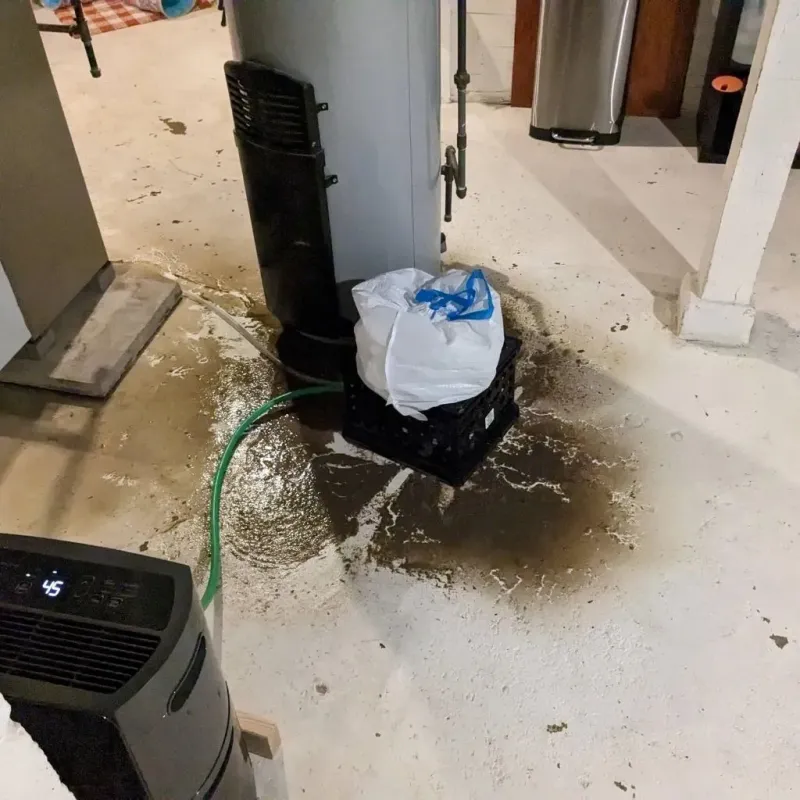 Sewage Backup Cleanup Service in Sandoval, IL